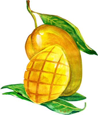 Image d'un fruit